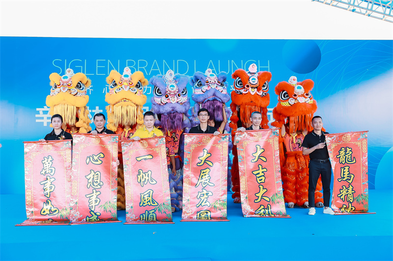 國內電梯排名前十名品牌，辛格林電梯可以閉眼入