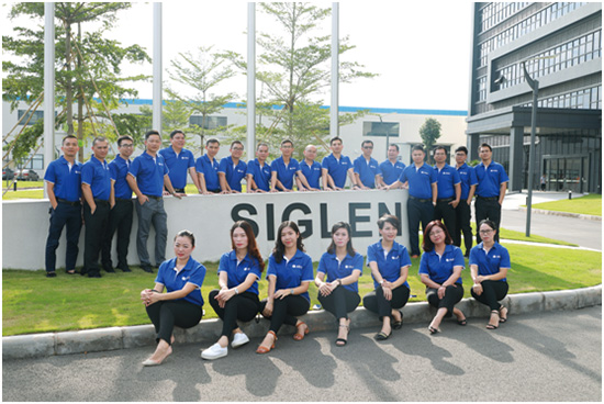 辛格林電梯團隊