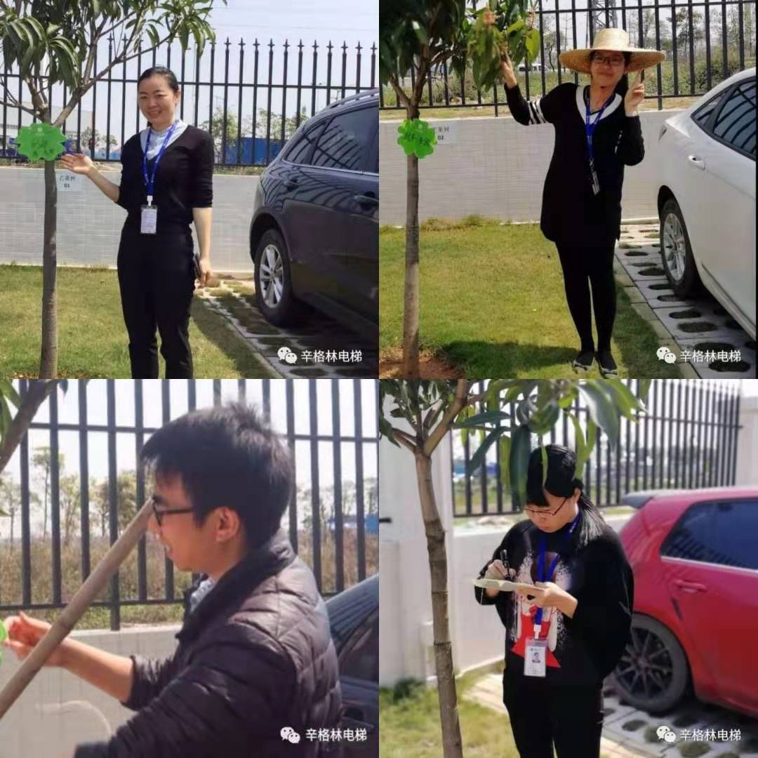 芒果樹認(rèn)領(lǐng)儀式 芒果樹認(rèn)領(lǐng)儀式