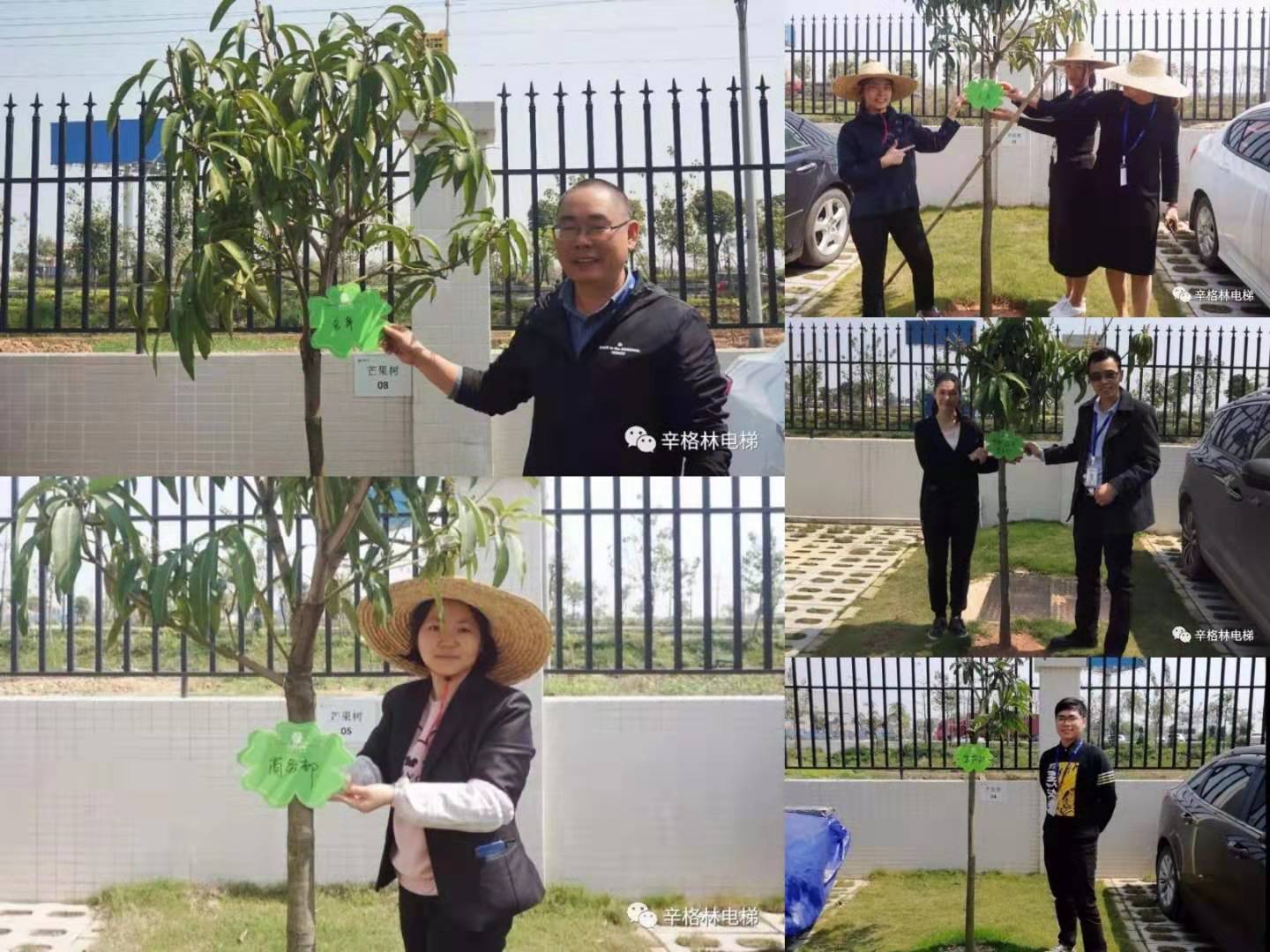 芒果樹認(rèn)領(lǐng)儀式 芒果樹認(rèn)領(lǐng)儀式