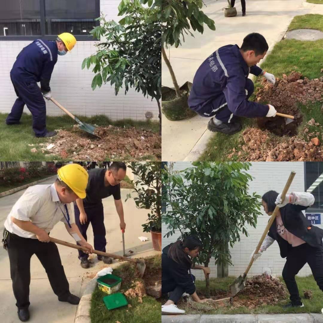 員工栽種中 員工栽種中