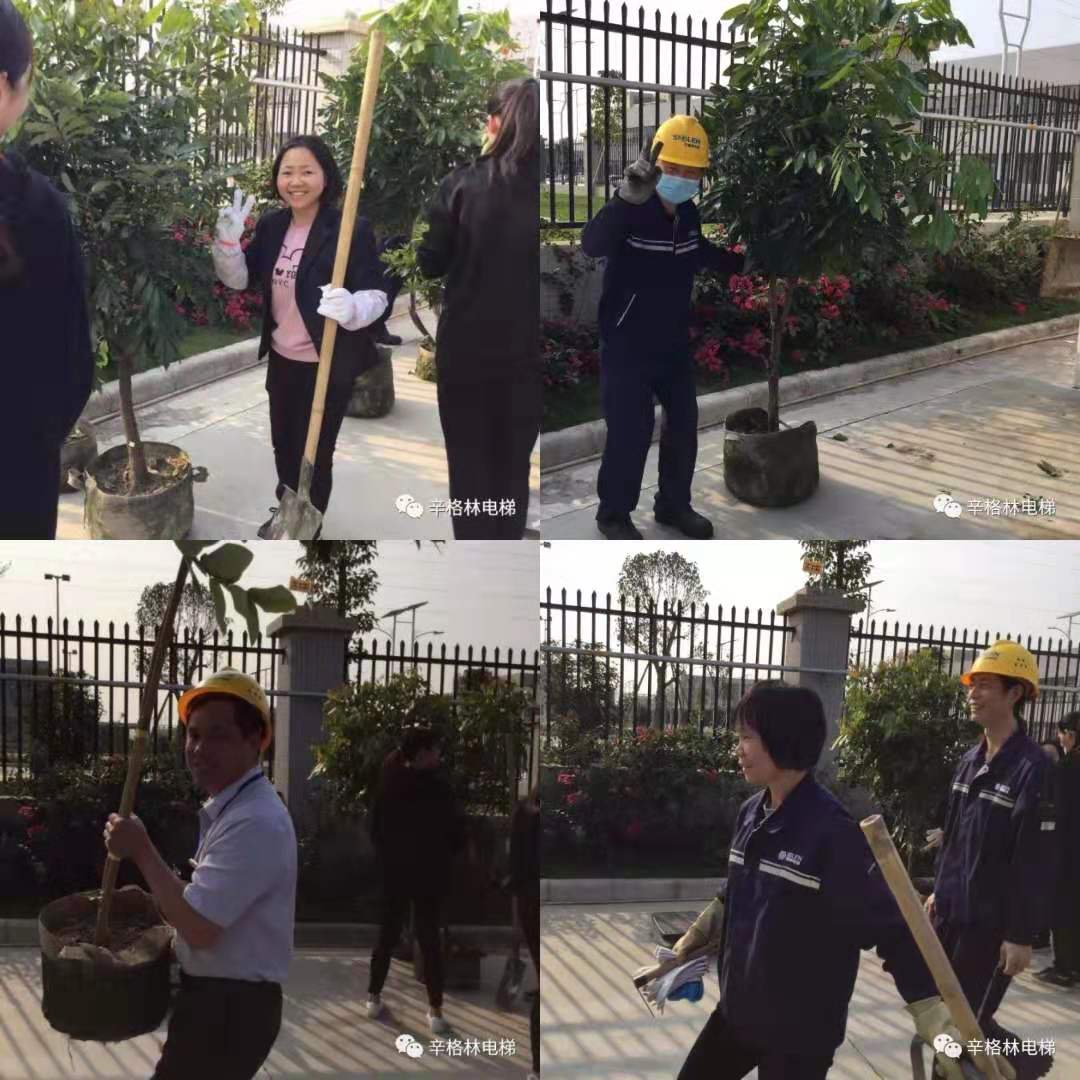 栽種活動(dòng)開始 栽種活動(dòng)開始