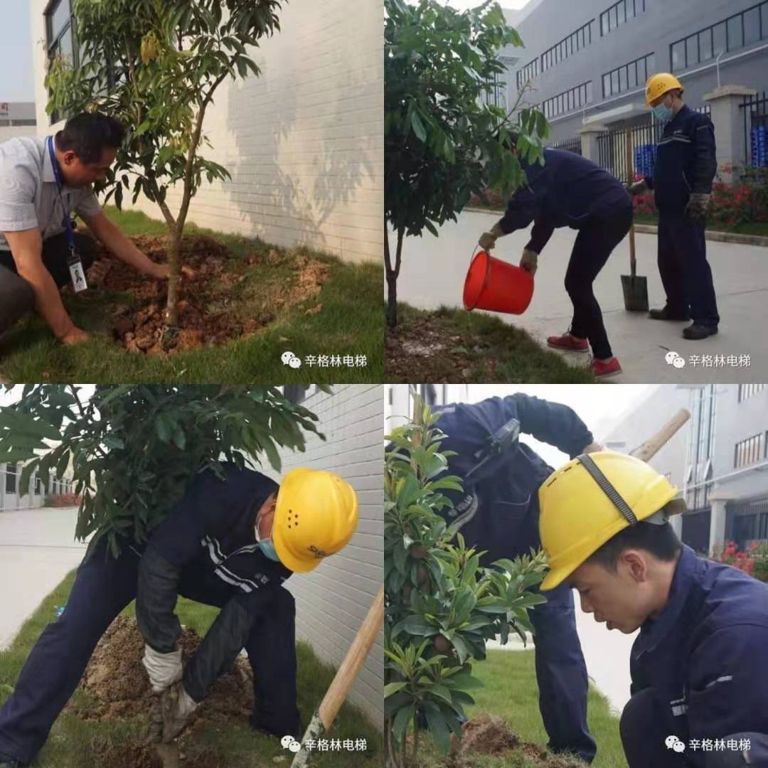 員工栽種中 員工栽種中