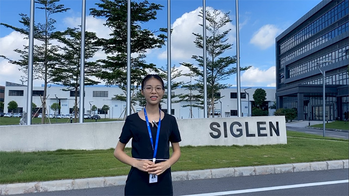 辛格林電梯工廠 辛格林電梯工廠