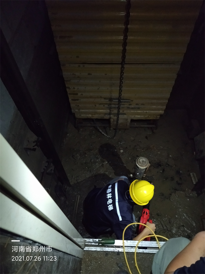 十大國產電梯品牌,國產電梯品牌排行榜,十大國產電梯品牌排行榜 十大國產電梯品牌,國產電梯品牌排行榜,十大國產電梯品牌排行榜