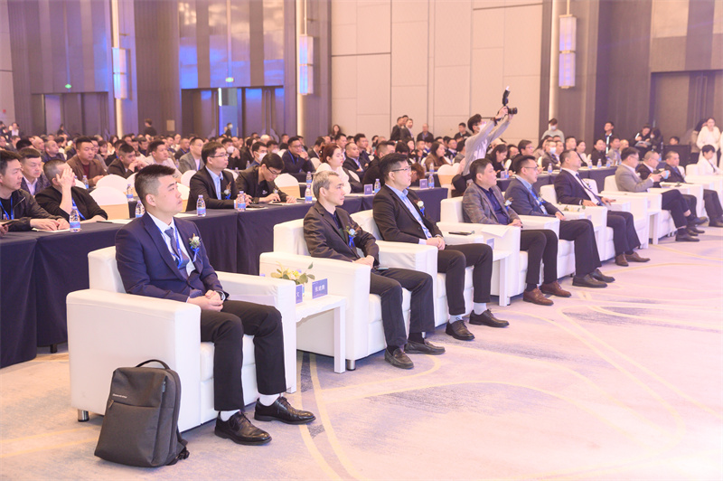 NBB_6880.jpg NBB_6880.jpg